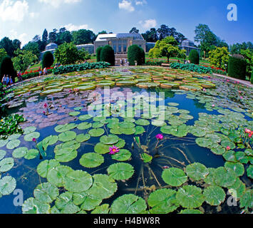 Seerosenteich, Maurischer Garten Wilhelma Stuttgart, üppig bewachsen, blühenden Lotusblumen, riesigen Swimming Blätter, Victoria Amazonica, andere Seerosen Stockfoto