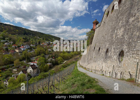 Blick von der Festung Marienberg auf die Weinberge von Würzburg, untere Franken, Bayern, Deutschland Stockfoto