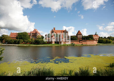 Polen, Pommern, Malborski, Marienburg, Marienburg, Nogat Stockfoto