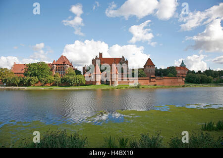 Polen, Pommern, Malborski, Marienburg, Marienburg, Nogat Stockfoto