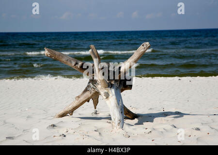 West-Pommern, Wolin, Miedzyzdroje, Polen, deutsche Misdroy Stockfoto