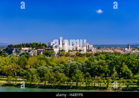 Frankreich, Provence, Vaucluse, Avignon, Ile De La Barthelasse, Rhône-Ufer, Altstadt, Rocher des Doms, Papstpalast, Ansicht von Villeneuve Lez Avignon Stockfoto