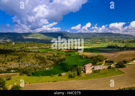 Frankreich, Provence, Vaucluse, Sault, Tal der Nesque gegen Mont Ventoux, Mas, Manor, Lavendel Stockfoto