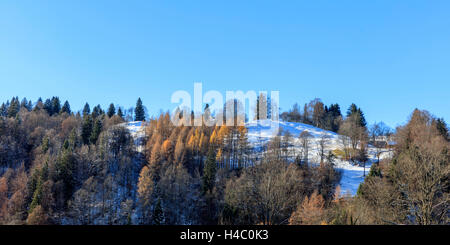 Winter in der Nähe der Schanze in Garmisch-Partenkirchen Stockfoto