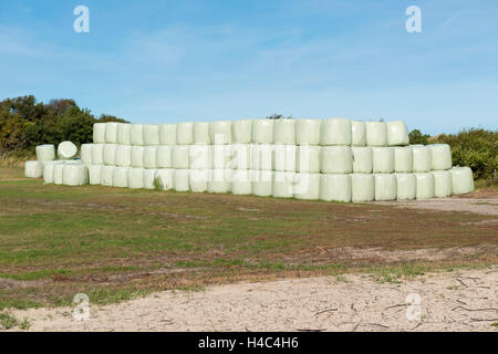 Heuballen gewickelt in grünem Plastik als ein Winter-Inventar gestapelt Stockfoto