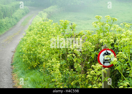 Feldweg im zeitigen Frühjahr mit Verkehrszeichen Stockfoto
