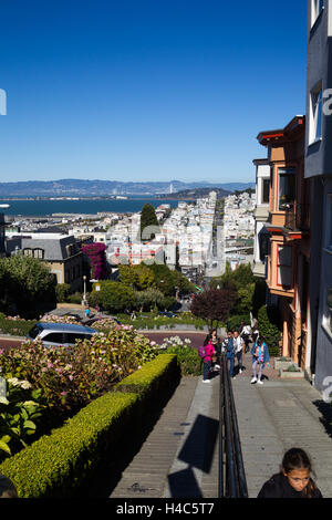 Blick vom Lombard Street auf Downtownn San Francisco, Kalifornien, USA. Stockfoto