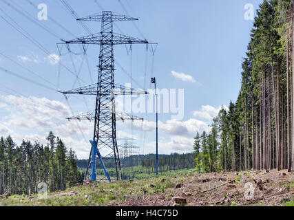 Männer, arbeiten, Versorgung Stromleitungen, Hebezeuge, schwindlig, Höhe, Mast, Stromleitung, Wald-Gang Stockfoto