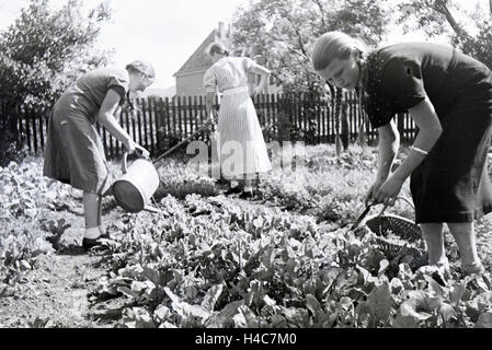 Schülerinnen des Kolonial Schülerheims Harzburg Bei der Gartenarbeit, Deutsches Reich 1937. Schüler der kolonialen Wohn Schule Harzburg bei der Gartenarbeit, Deutschland 1937. Stockfoto