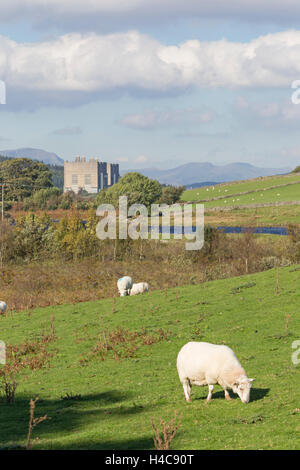 Die stillgelegten Trawsfynydd Nuclear Power Station, Snowdonia-Nationalpark, Gwynedd, Wales. Stockfoto