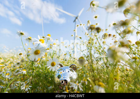 Sparschwein in der Blumenwiese, im Hintergrund ein Windkraftwerk Stockfoto