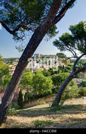 Blick auf Fort Saint Andre und Villeneuve-Lès-Avignon, Département Gard, Region Languedoc-Roussillon, Frankreich, Stockfoto