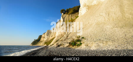 Dänemark, Insel M ° n, die Kreidefelsen von M ° ns Klint Stockfoto