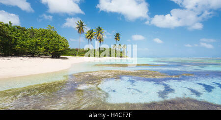 Guadeloupe, Frankreich, der Karibik, Insel, Bois, Jolan, Palmen, Traum, Strand, Paradies, Meer, Türkis, hellblau, Sand, fein, tropisch, Panorama, Landschaft, Urlaub, Entspannung Stockfoto