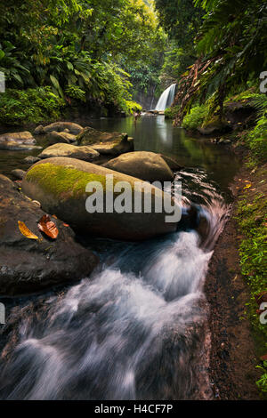 Guadeloupe, Frankreich, Karibik, Insel, Regenwald, Wasserfall, Dschungel, Lush, mystisch, Dämmerung, Stockfoto