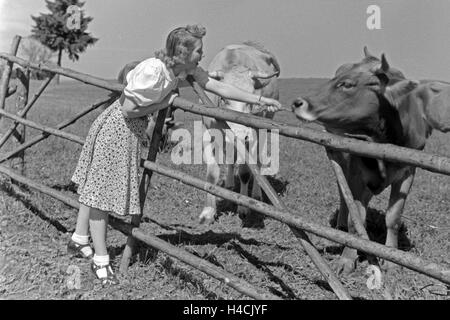 Sterben Sie Österreichische Schauspielerin Gusti Wolf Macht Ferien Auf Dem Lande, Deutschland 1930er Jahre. Österreichische Schauspielerin Gusti Wolf im Urlaub auf dem Lande, Deutschland der 1930er Jahre Stockfoto
