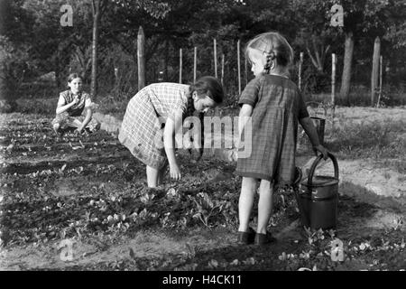 Unterricht Im Freien eine der von Adolf Reichwein Geleiteten Landschule in Tiefensee, 1930er Jahre Deutschland. Outdoor-Klassen an der Dorfschule in Tiefensee laufen durch Adolf Reichwein, Deutschland der 1930er Jahre Stockfoto