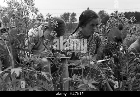 Unterricht Im Freien eine der von Adolf Reichwein Geleiteten Landschule in Tiefensee, 1930er Jahre Deutschland. Outdoor-Klassen an der Dorfschule in Tiefensee laufen durch Adolf Reichwein, Deutschland der 1930er Jahre Stockfoto