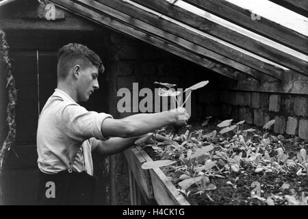 Unterricht Im Freien eine der von Adolf Reichwein Geleiteten Landschule in Tiefensee, 1930er Jahre Deutschland. Outdoor-Klassen an der Dorfschule in Tiefensee laufen durch Adolf Reichwein, Deutschland der 1930er Jahre Stockfoto