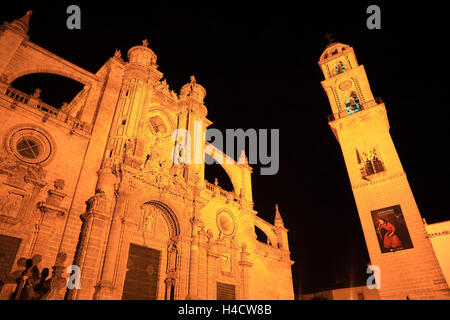 Spanien, Andalusien, Jerez De La Frontera in der Provinz Cadiz, die Kathedrale Antigua Colegiata de San Savator und das Bell tower bei Nacht Stockfoto