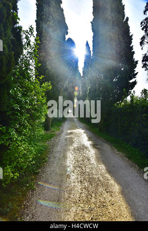 Locanda San Vigilio Stockfoto