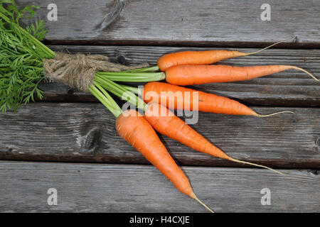 Frische Ernte von Möhren Tie beam Stockfoto