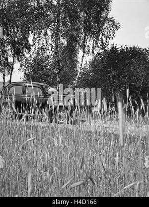 Eindruck aus der Deutschen Landschaft, Deutschland 1839er Jahre. Impressionen aus der deutschen Landschaft, Germamy der 1930er Jahre. Stockfoto