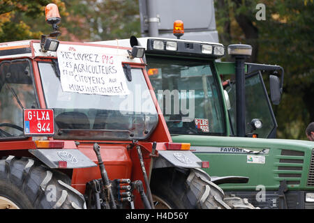 Abbildung Bild zeigt eine FUGEA, Verband der Züchter und Landwirte Maßnahmen vor einer Plenarsitzung des wallonischen Parlaments in Namur, Freitag, 14. Oktober 2016. BELGA FOTO BRUNO FAHY Stockfoto