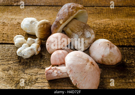 Sammeln von Pilzen mit Cupcake auf Naturholz Stockfoto