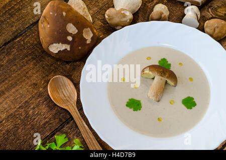 Pilze Creame Suppe mit tschechischen Pilze aus Holz Stockfoto