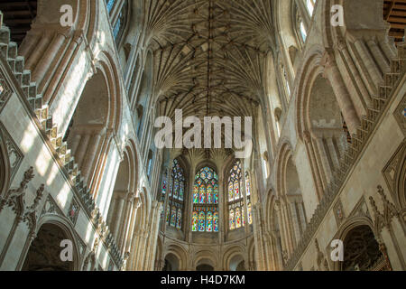 Decke in der Kathedrale von Norwich, Norfolk, England Stockfoto