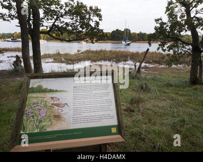 Informationstafel über den öffentlichen Fußweg zwischen Beaulieu und hart Schilde, New Forest, Hampshire, England, UK Stockfoto