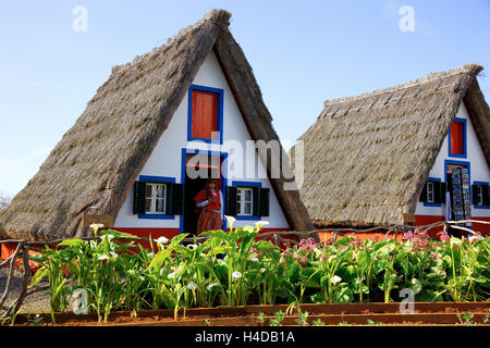 Insel Madeira, Santana, typisch für Land, Santanahäuser, Casas de Colmo Stockfoto