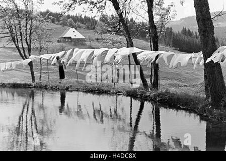 Eine Frau Hängt Die Saubere Wäsche Zum Trocknen Auf der Dokumentarspiel Auf, Schwarzwald, Deutschland 1930er. Eine Frau hängt die gewaschene Wäsche auf der Wäscheleine, Schwarzwald, Deutschland der 1930er Jahre. Stockfoto