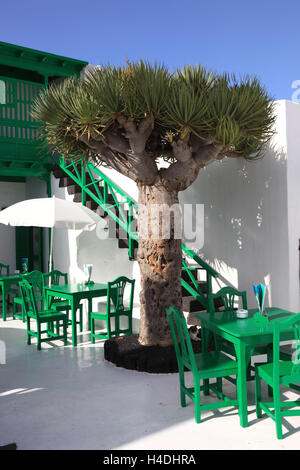 Casa Museo del Campesino, Bauern-Museum und Museum Angewandte Kunst und Garagen, das Monumento Al Campesino, verpfänden Denkmal in San Bartolomé, Bezirk Mozaga, Lanzarote, Kanarische Inseln, Spanien Stockfoto