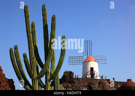 Gofio-Mühle, Kakteengarten Jardín de Cactus mit Guatiza, Lanzarote, Kanarische Inseln, Spanien Stockfoto