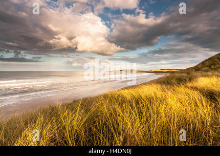 Embleton Bay mit Blick auf die Ruinen von Dunstanburgh Castle am Abend von den Dünengebieten Rasen bedeckt Sanddünen Stockfoto