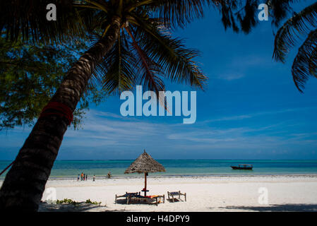 Traumhafter Strand mit Bwejuu, Zanzibar Stockfoto