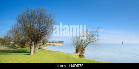 Deutschland, Mecklenburg-Vorpommern, mit Röbel, ruhige Bucht am westlichen Ufer der Müritz, Bad Platz, Frühling Stockfoto