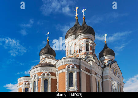 Alexander Nevsky Cathedral befindet sich auf dem Dom Hügel in der oberen Stadt von Tallinn, Estland, Baltikum, Europa Stockfoto