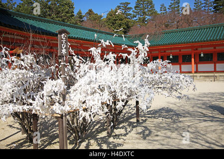 Japan, Kyoto, Heian-Jingu Schrein, gute Wahrsagen Papiere an Baum für Gebete gebunden Stockfoto