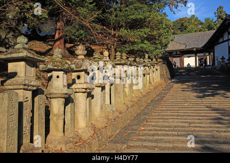 Japan, Nara, Nara-Park, Todaiji Tempel, UNESCO-Welterbe Stockfoto