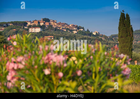 Lage Accattapane, Donoratico, Castagneto Carducci, Blick auf die Stadt von den Weinbergen Stockfoto