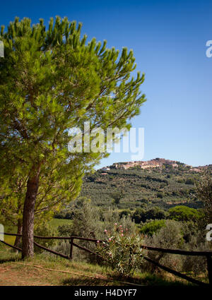 Lage Accattapane, Donoratico, Castagneto Carducci, Blick auf die Stadt von den Weinbergen Stockfoto