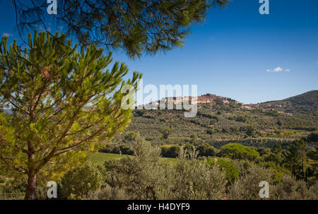 Lage Accattapane, Donoratico, Castagneto Carducci, Blick auf die Stadt von den Weinbergen Stockfoto