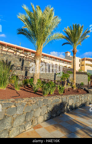 MORRO JABLE, FUERTEVENTURA - FEB 6: tropische Gärten des Luxushotels in Stadt von Morro Jable am 6. Februar 2014. Dies ist ein beliebter Ort für Touristen auf der Insel Fuerteventura. Stockfoto