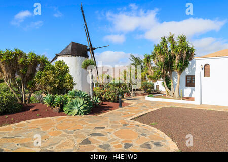 Alte Windmühle in tropischen Garten in Antigua Dorf, Fuerteventura, Kanarische Inseln, Spanien Stockfoto