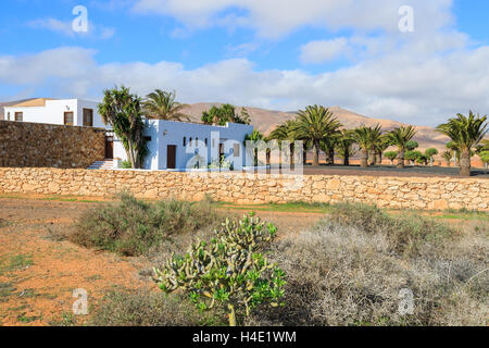 Traditionellen kanarischen Stil Häuser in Antigua Windmühle Museumsdorf, Fuerteventura, Kanarische Inseln, Spanien Stockfoto