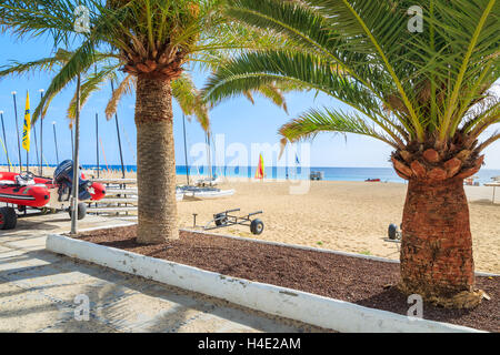MORRO JABLE, FUERTEVENTURA - 7. Februar 2014: Palmen Sie Promenade an einem Strand in Morro Jable. Dies ist ein beliebter Ferienort auf der Insel Fuerteventura. Stockfoto