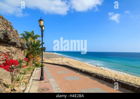 Tropische Blumen auf Promenade am Strand von Jandia in Morro Jable mit Blick aufs Meer, Fuerteventura, Kanarische Inseln, Spanien Stockfoto